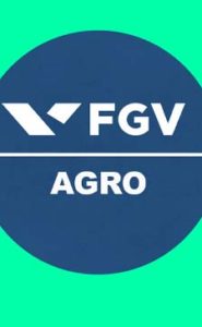 FGV Agro discute a reforma tributária em debate on-line