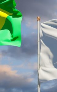 Minas e a Tutela Federal