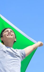 Cenário de oportunidades para o Brasil