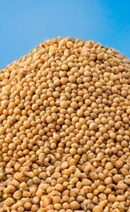 O Agro chega ao Everest