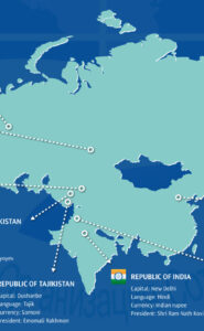 Nova Ordem Autoritária