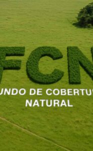 O Capital do Futuro é Verde