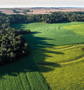 Agricultura Tropical: O Brasil Lidera com Soluções Concretas para Segurança Global e Clima na COP30